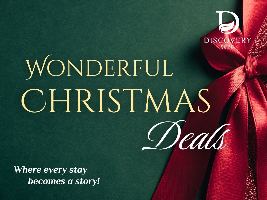 Wonderful Christmas Deals