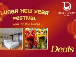 Lunar Prosperity Stay