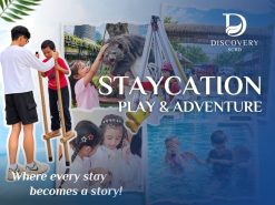 Staycation Play & Adventure